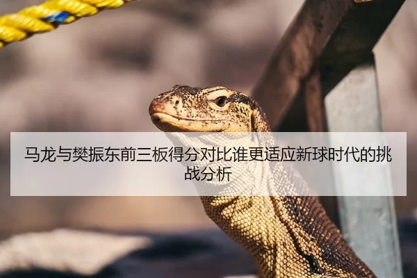 马龙与樊振东前三板得分对比谁更适应新球时代的挑战分析