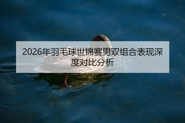 2026年羽毛球世锦赛男双组合表现深度对比分析