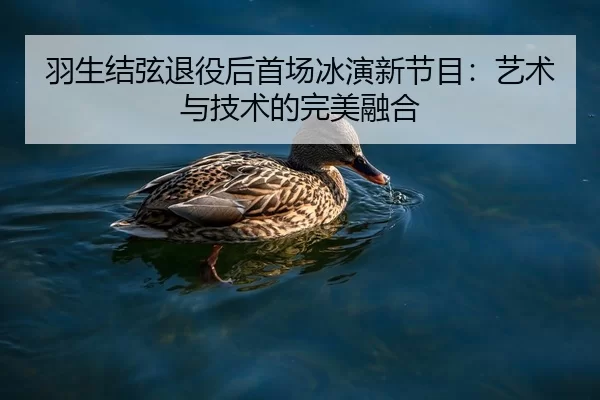 羽生结弦退役后首场冰演新节目：艺术与技术的完美融合